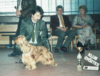 Aro's Golden Arrow – Club Winner of Hungary 1992