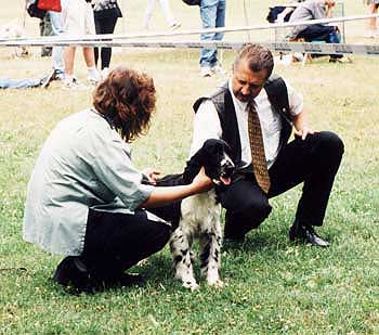 Judge at the Club Show Kunratice 2000