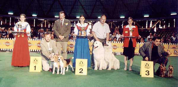 International Dog Show - Opole (PL) 2003